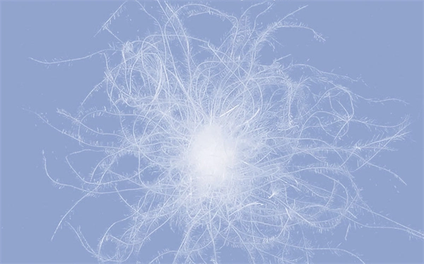 90% Down Filled Jacket - Women's Long Sleeve Winter Outerwear