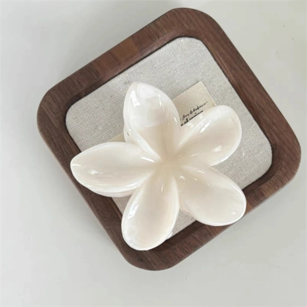 Large Claw Clip for Women – Matte Shark Hair Clip for Thick Hair