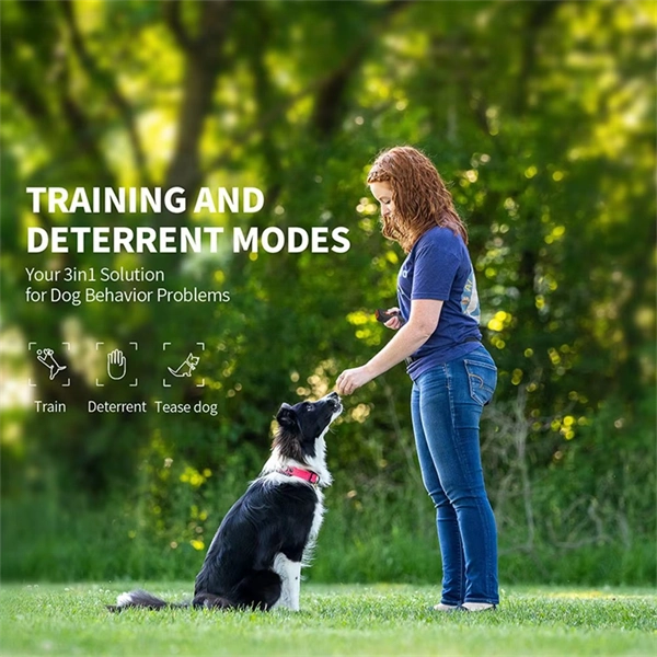 Rechargeable Portable Ultrasonic Dog Bark Control Device