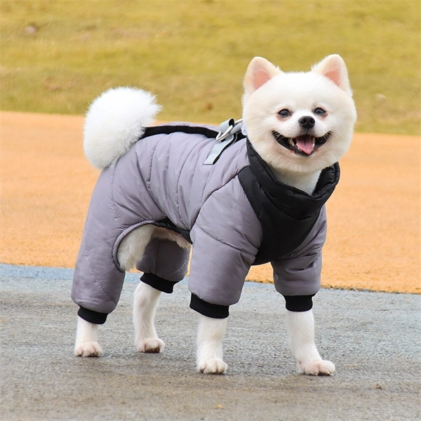 Waterproof Winter Dog Jacket – Cozy & Warm for Small & Medium Dogs