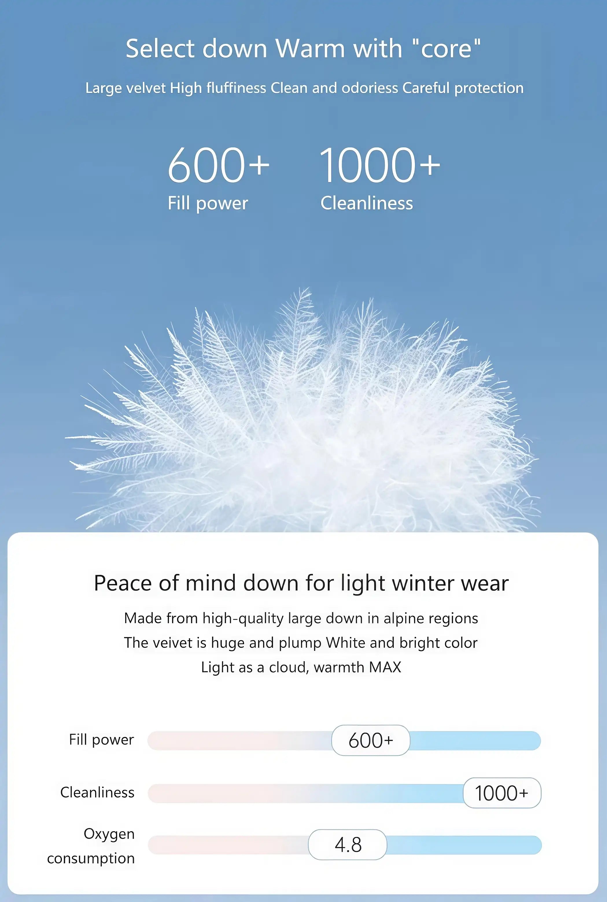 Women's Lightweight Down Jacket, Hooded Short Puffer Coat for Fall Winter Outdoor Sports